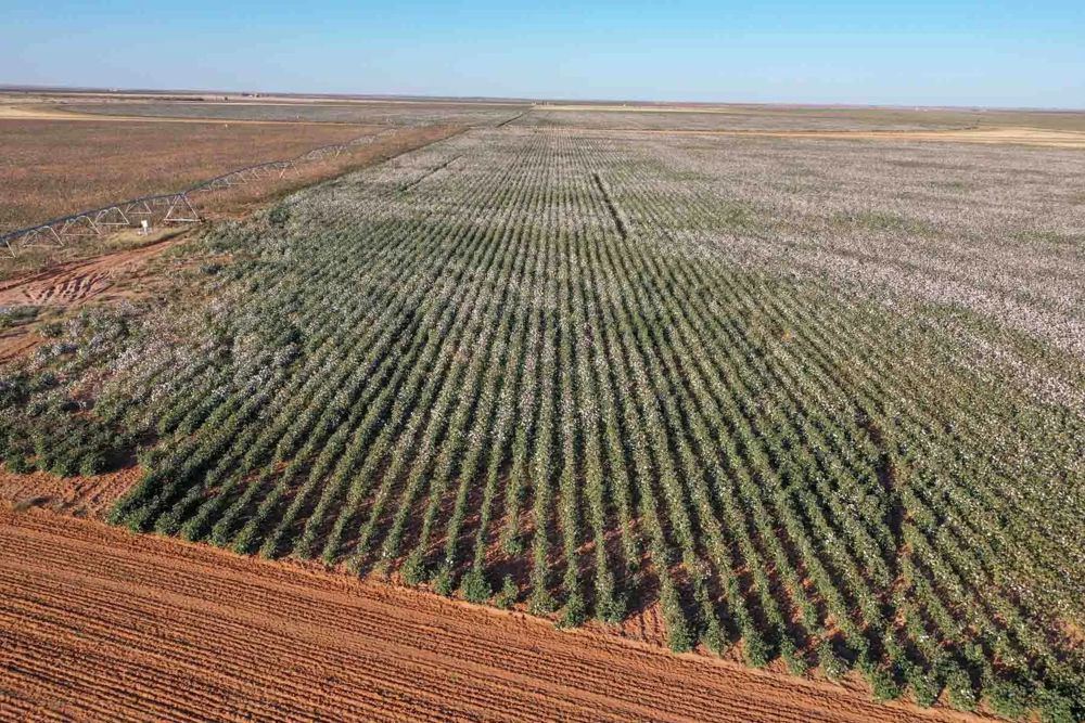 Landscape view for Warren Farms