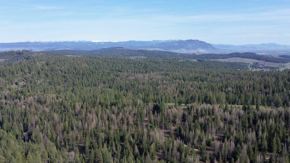 Landscape view for South Chandler Grande Ronde Ranch