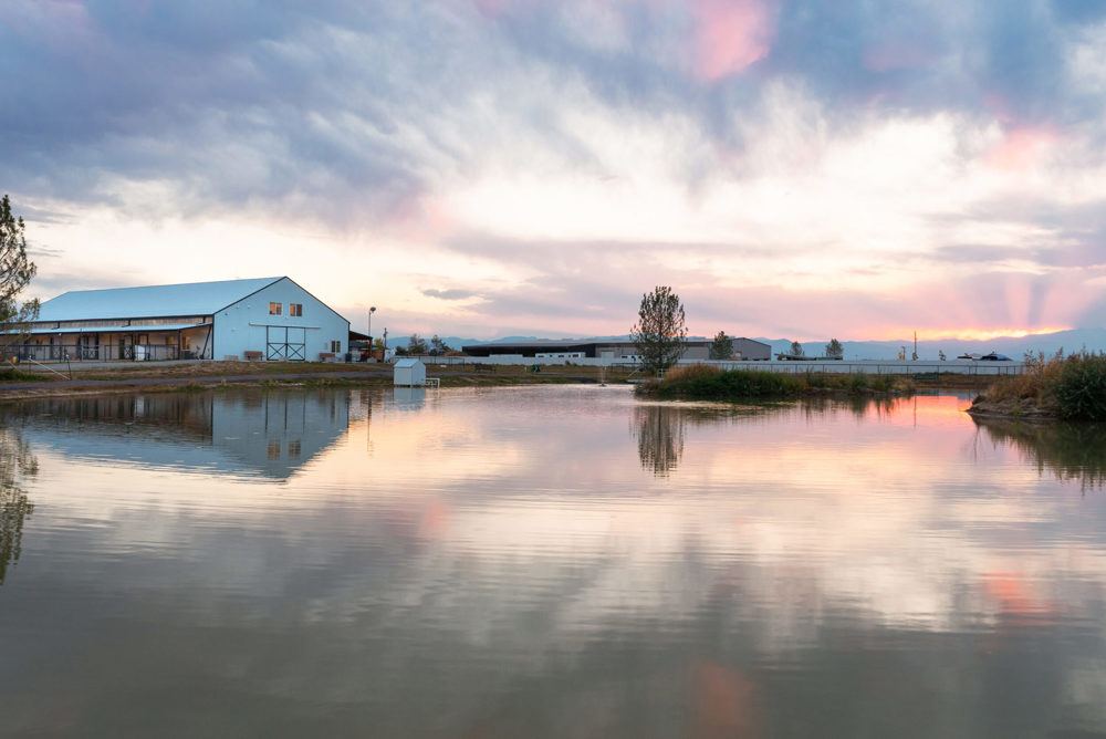 Landscape view for Horse Boarding/Training and Petting Zoo
