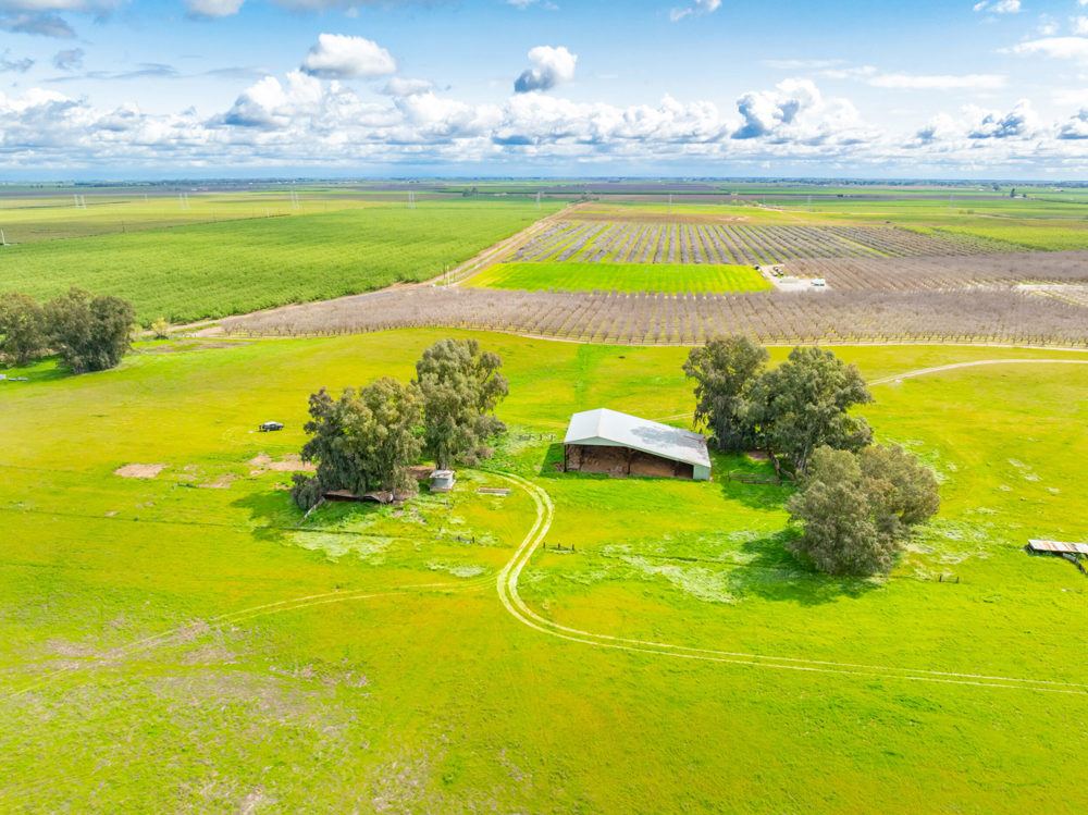 Landscape view for Millsaps Willows Ranch