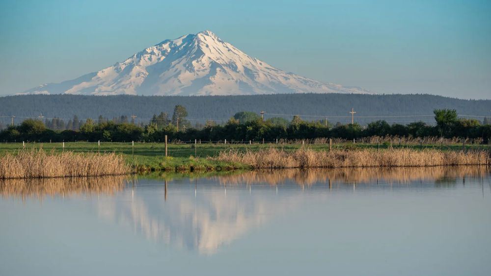 Landscape view for Island Ranch Pasture
