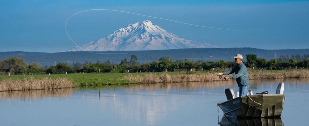 Landscape view for Island Ranch