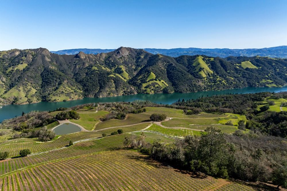Landscape view for Pritchett Peaks Vineyard