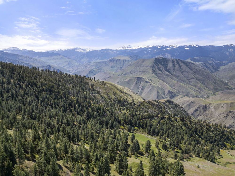 Landscape view for Salmon River Recreational Ranch (Hunting Portion)