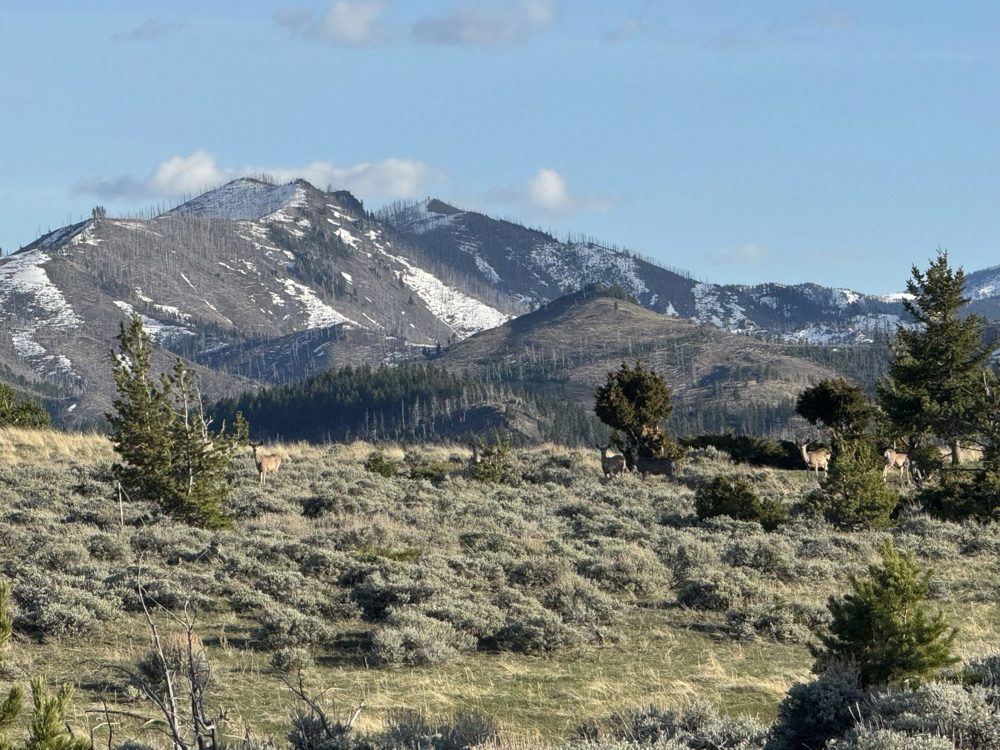 Landscape view for The Upper Deer Creek Ranch