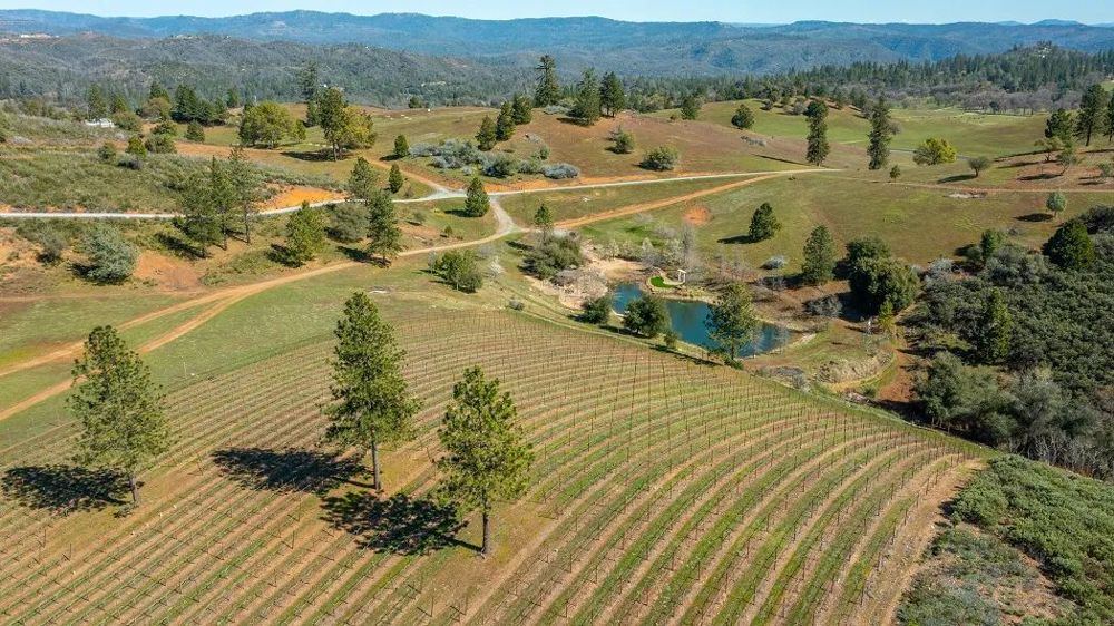 Landscape view for Tailem Bend Ranch and Vineyard
