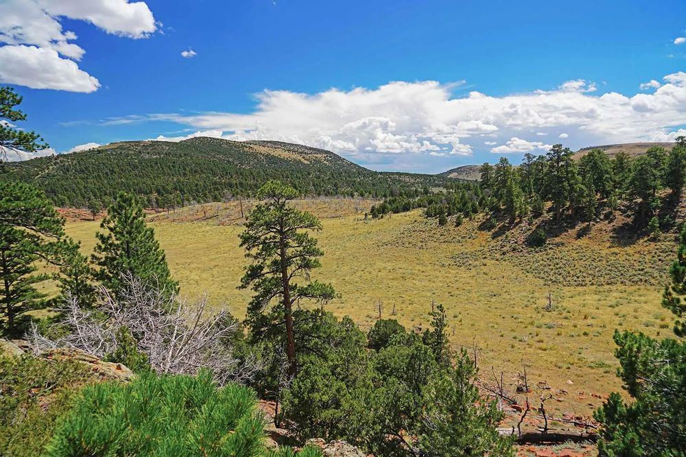 Landscape view for Snake River Land & Cattle Ranch