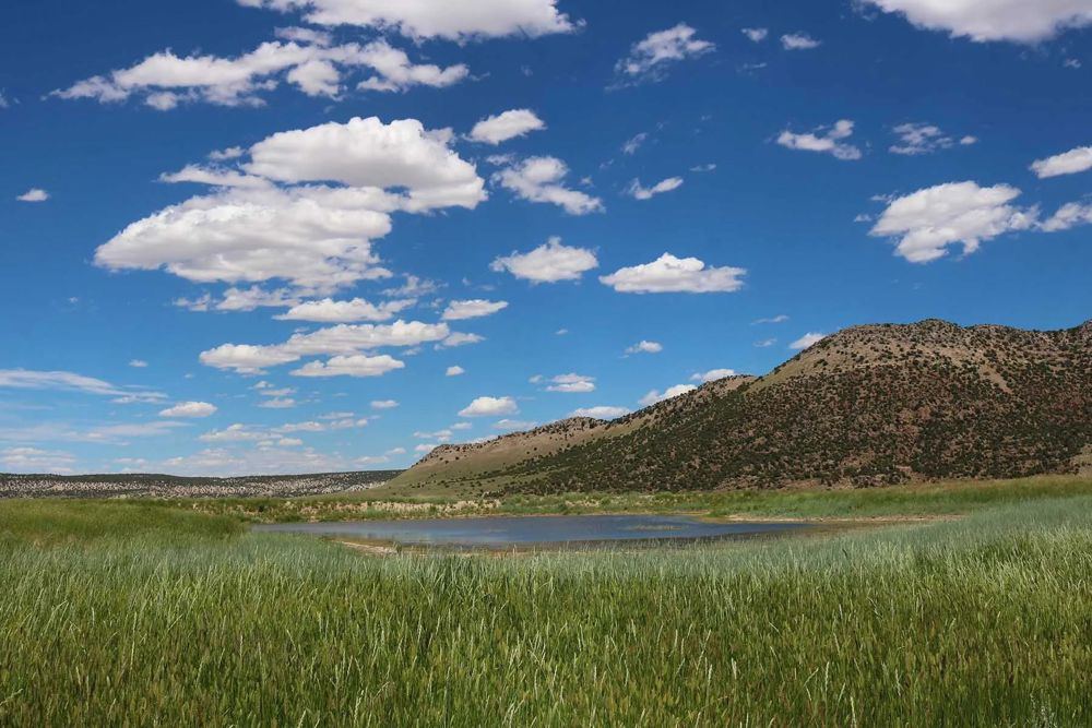 Snake River Land & Cattle Ranch, view 3