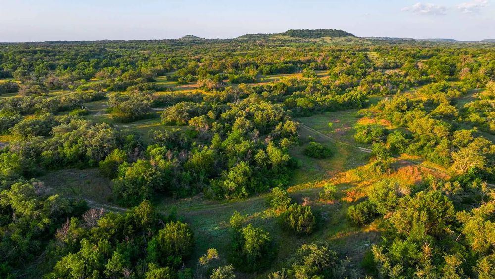 Landscape view for Triple J Ranch