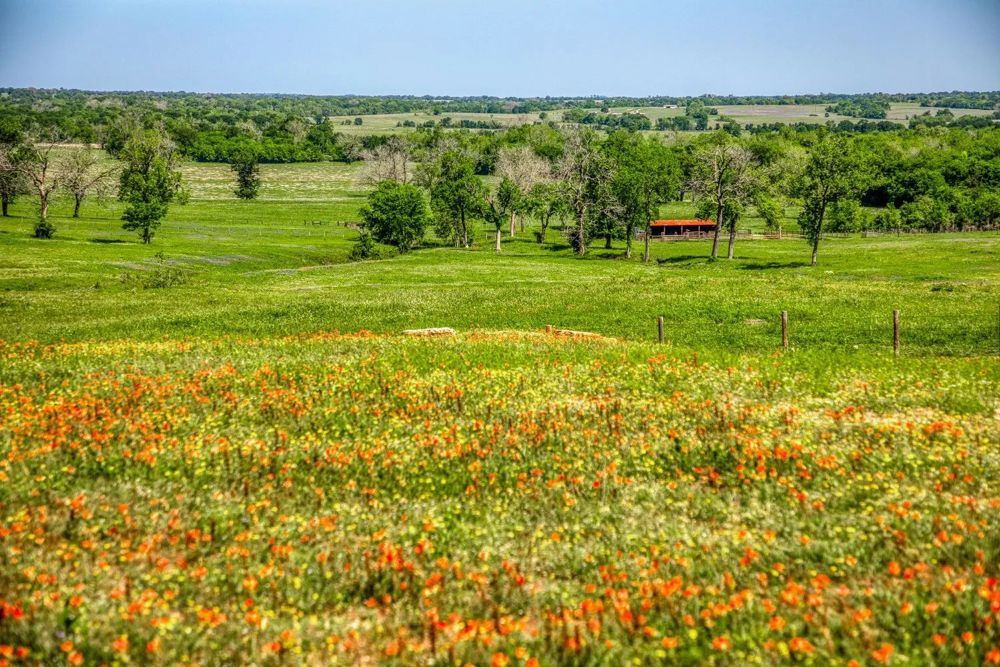 Landscape view for 176 Acres at 2945 Fm 3090 Rd