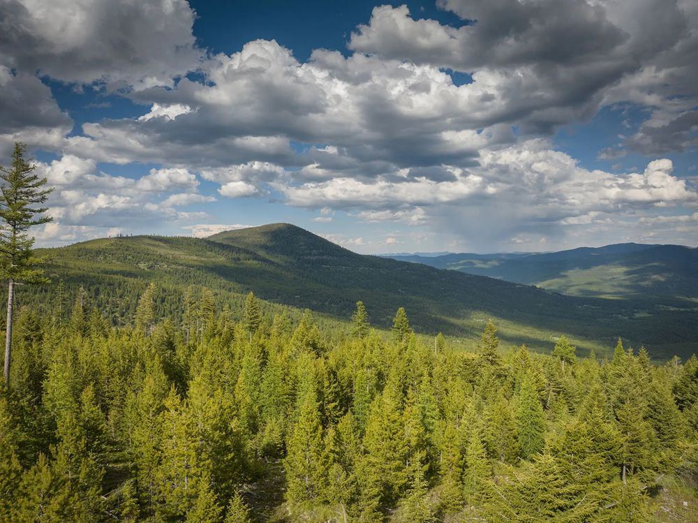 Landscape view for Haskill Mountain Retreat