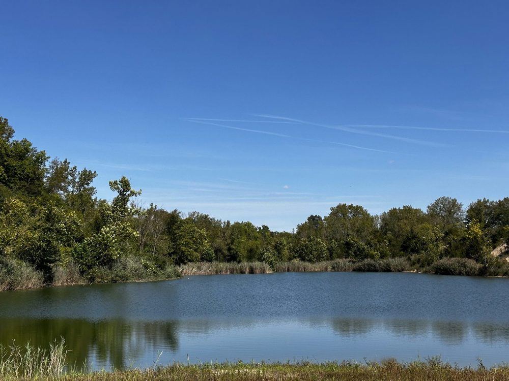 Landscape view for Sheridan 101 +/- acres