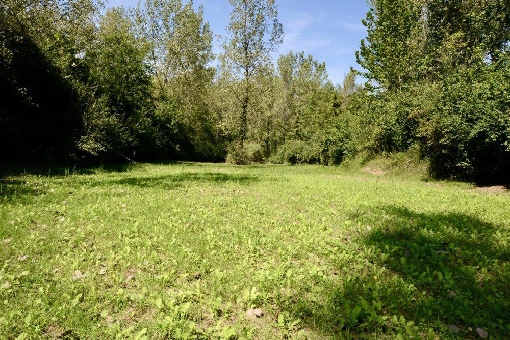 Sheridan 101 +/- acres, view 2