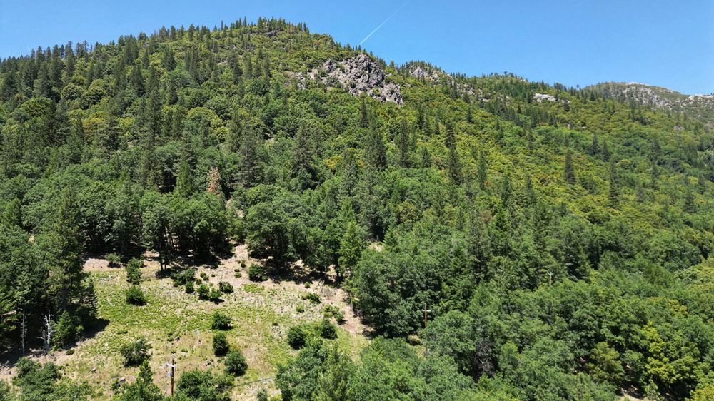 Landscape view for Sierra Buttes Vista