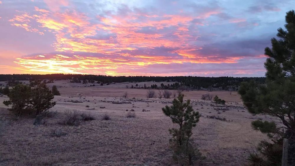 Landscape view for Elkland Ranch