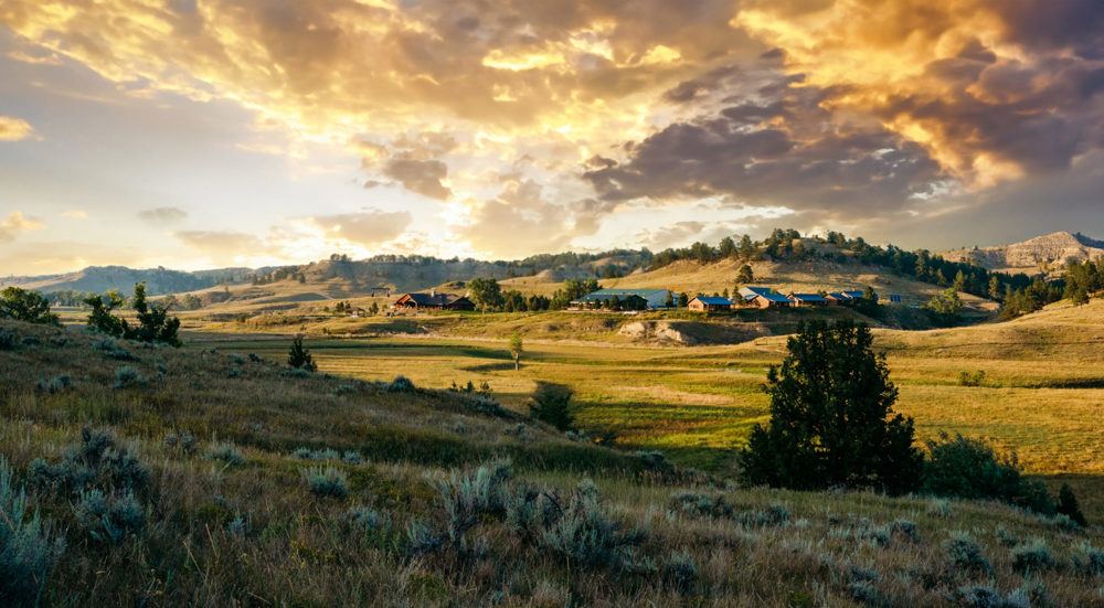 Landscape view for The Steiner Ranch