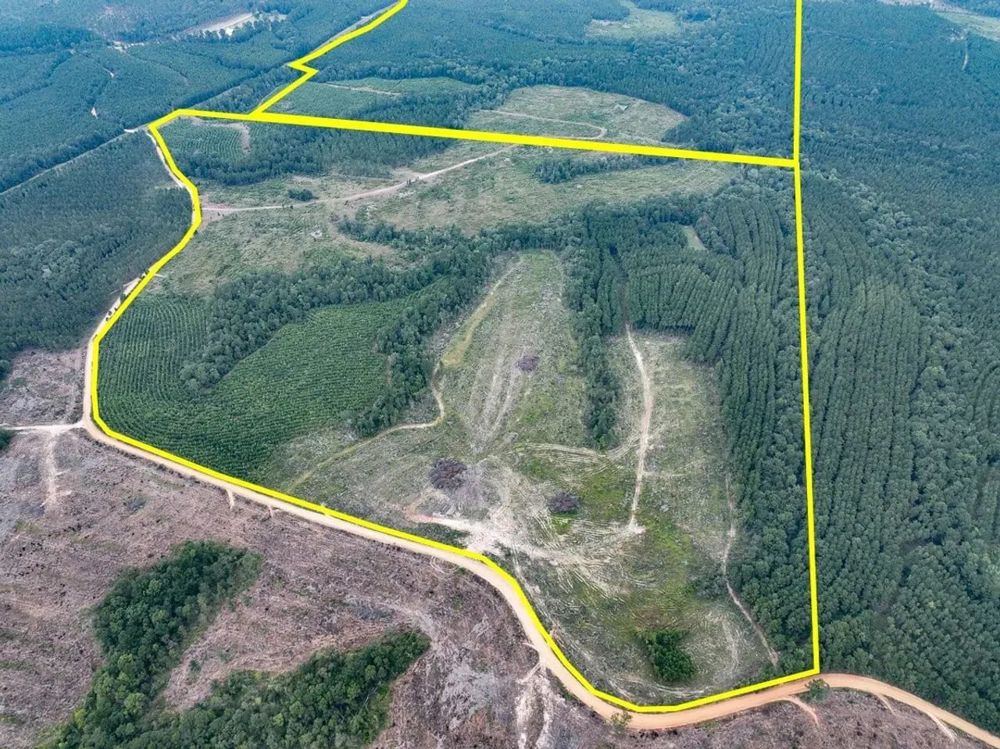 Landscape view for 265 Acres | T-2 | Bar D Ranch