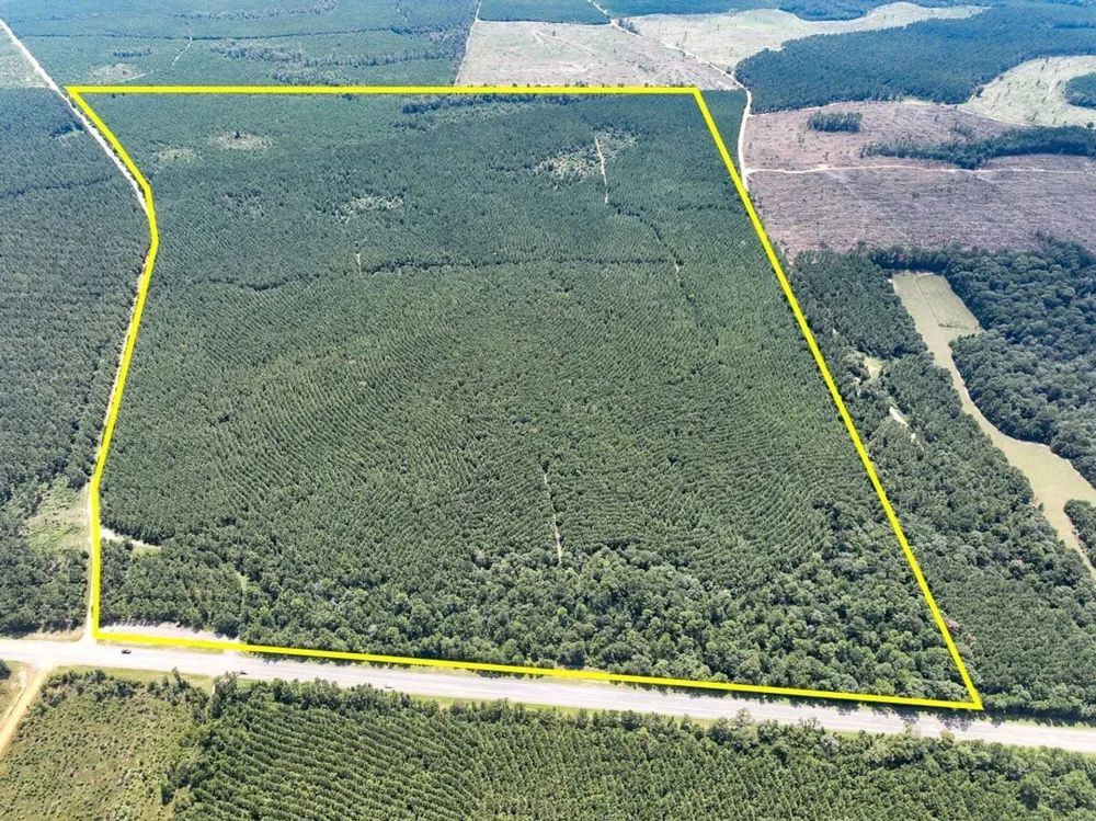 Landscape view for 260 Acres | Highway 190 | T-10 | 287023
