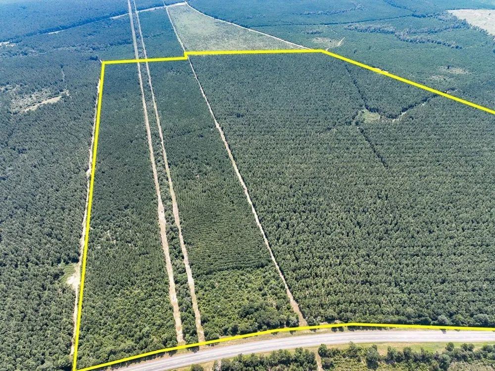 Landscape view for 322 Acres | Highway 190 | T-2 | 287023