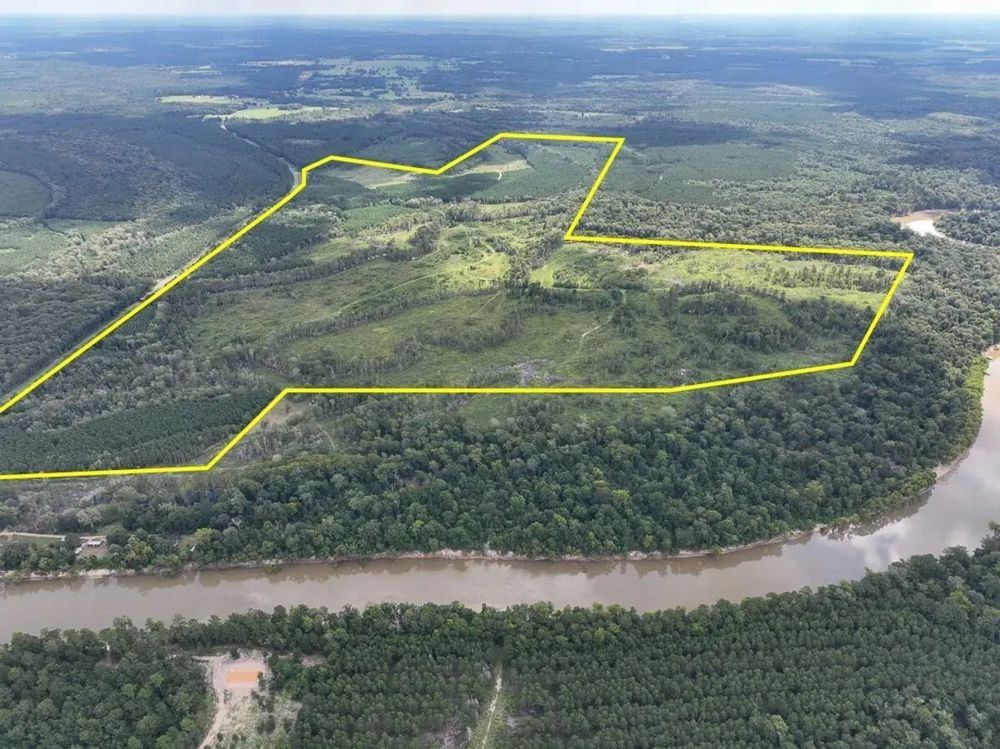 Landscape view for 487 Acres | FM 1013 | 287050