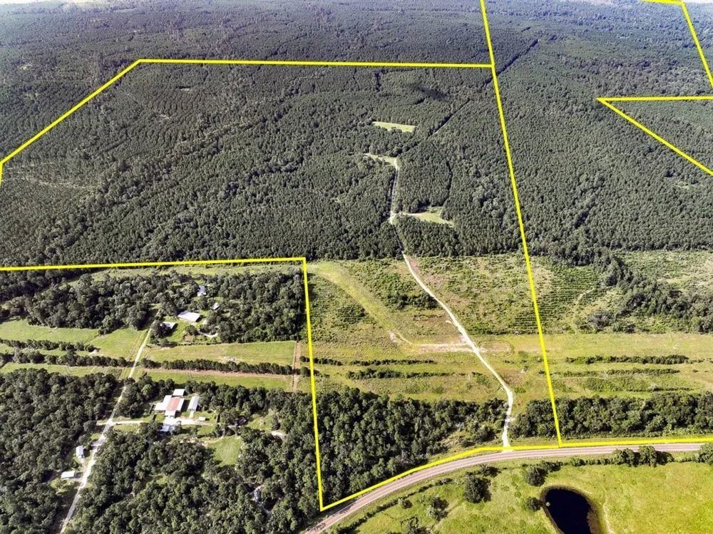 Landscape view for 432 Acres | T-6 | FM 2989
