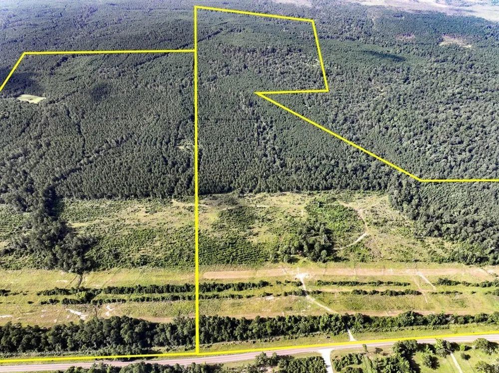 Landscape view for 516 Acres | T-5 | FM 2989