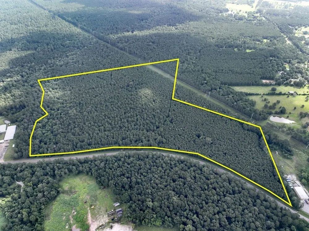 Landscape view for 81 Acres | FM 2793