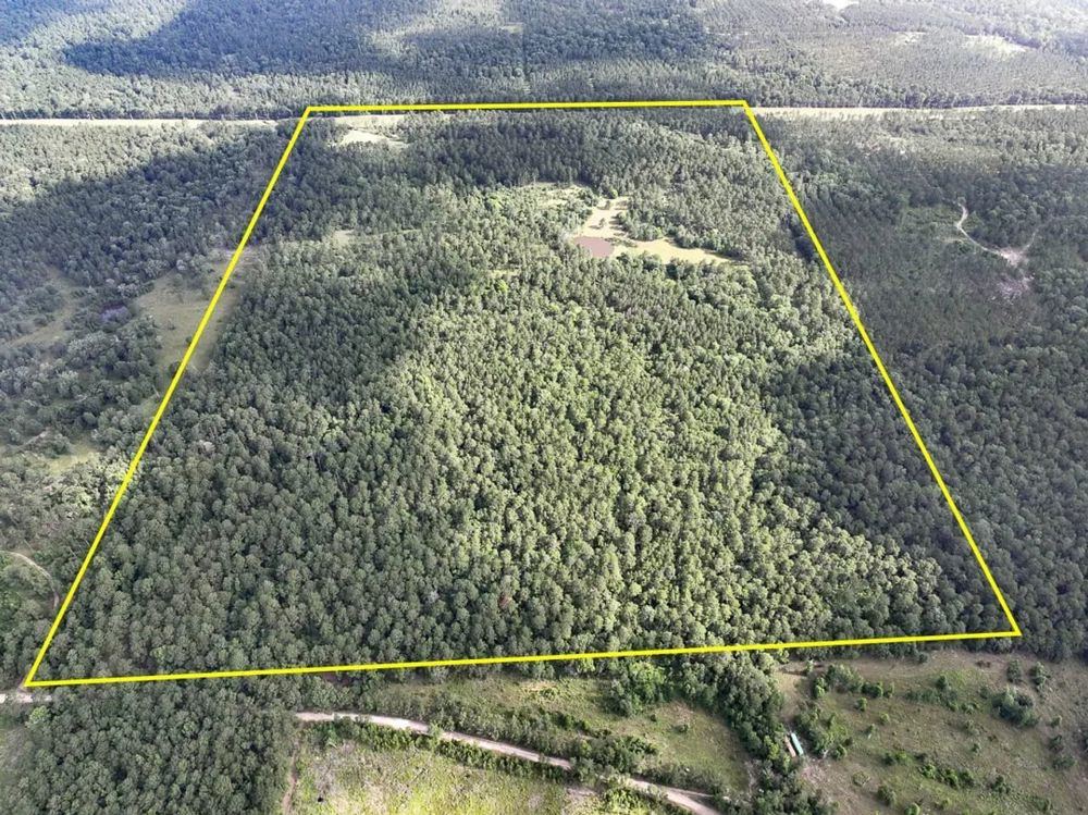 Landscape view for 150 Acres | Old Staley Road