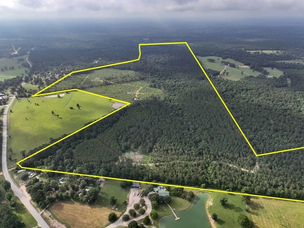 Landscape view for 248 Acres | FM 1725