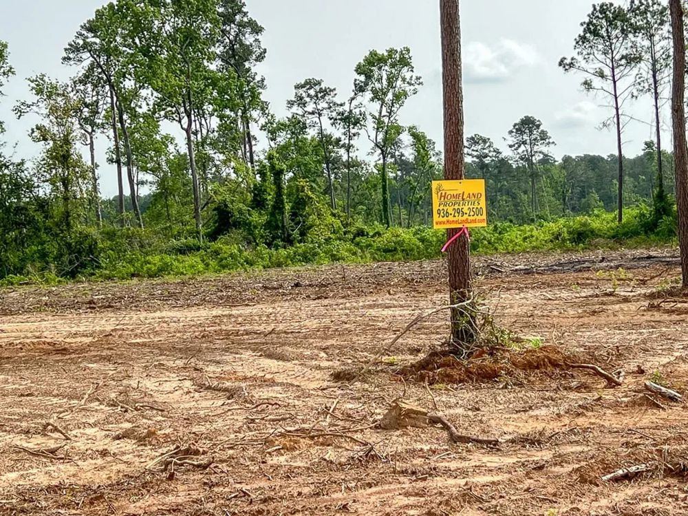 Landscape view for 69 Acres | T-5 | Old Salem Church Road