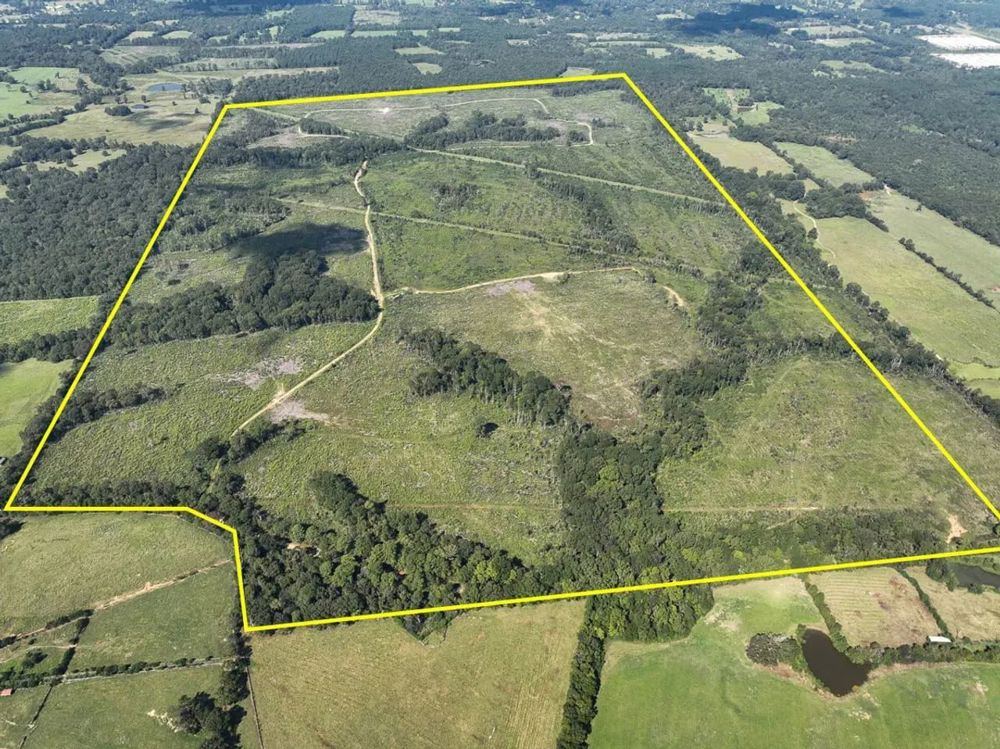 Landscape view for 470 Acres | CR 4916