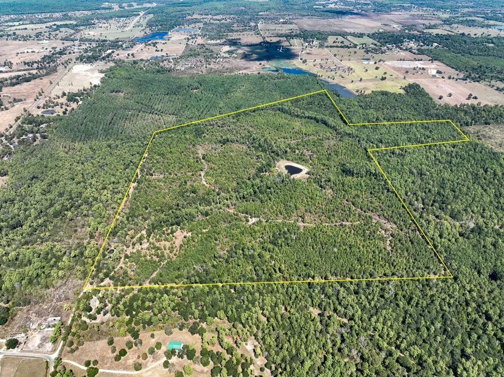 Landscape view for 164 Acres | Murray Lane