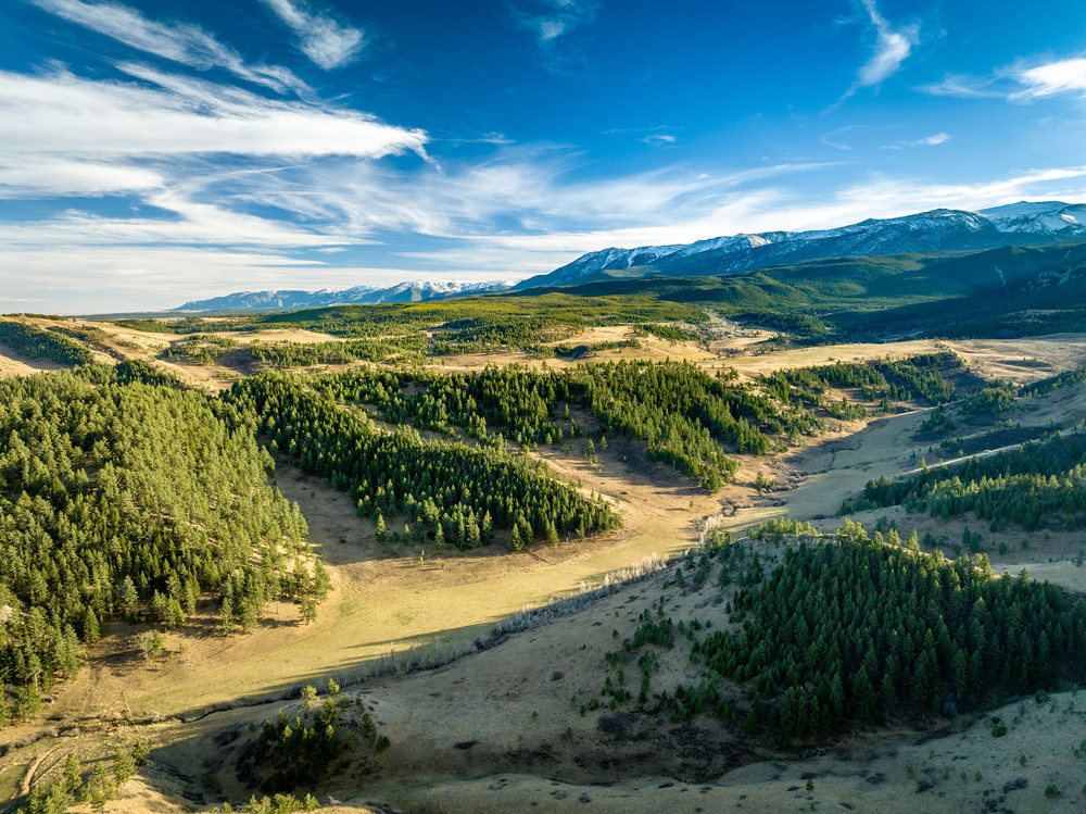 Landscape view for Beartooth Foothills Ranch