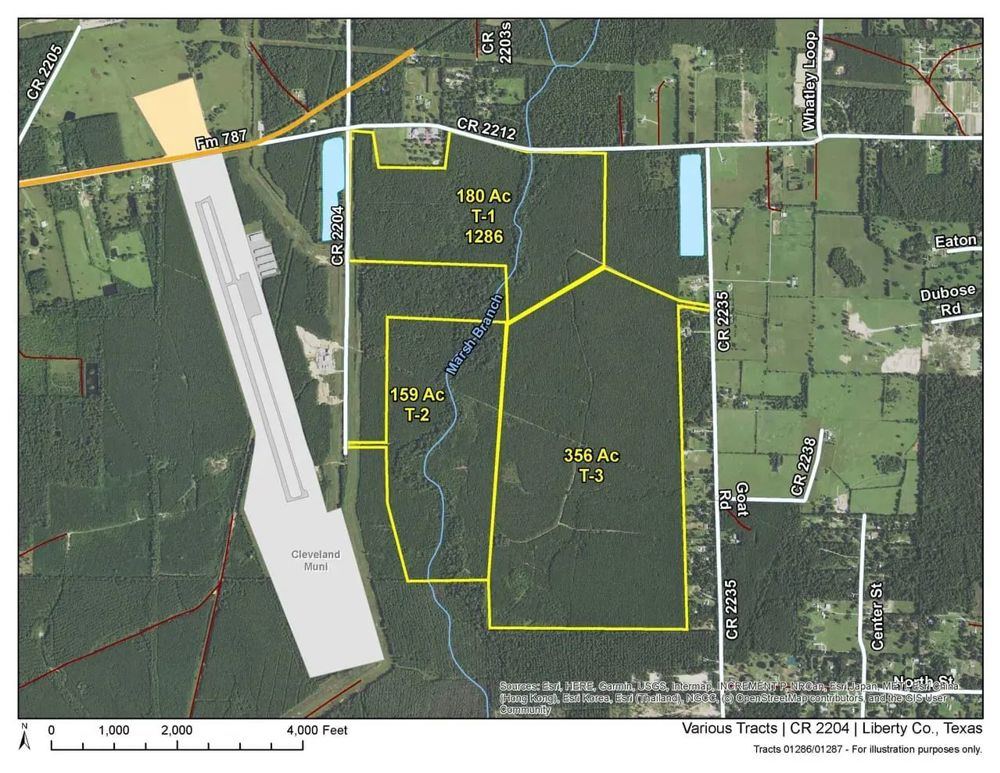 Landscape view for 180 Acres | T-1 | CR 2204 | 01286/01287