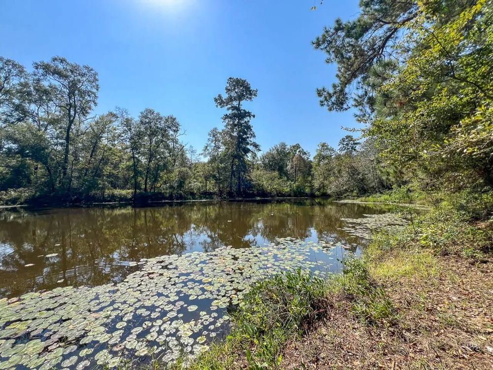 Landscape view for 1,726 Acres | Neches River Front