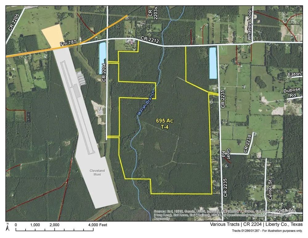 Landscape view for 695 Acres | T-4 | CR 2204 | 01286/01287