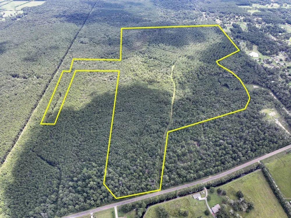 Landscape view for 545 Acres | FM 1136 | 01325