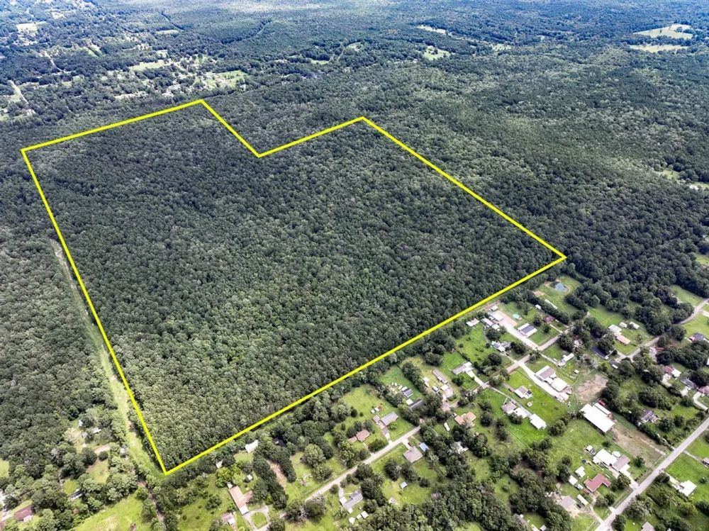 Landscape view for 310 Acres | Ellis Lane | 01167