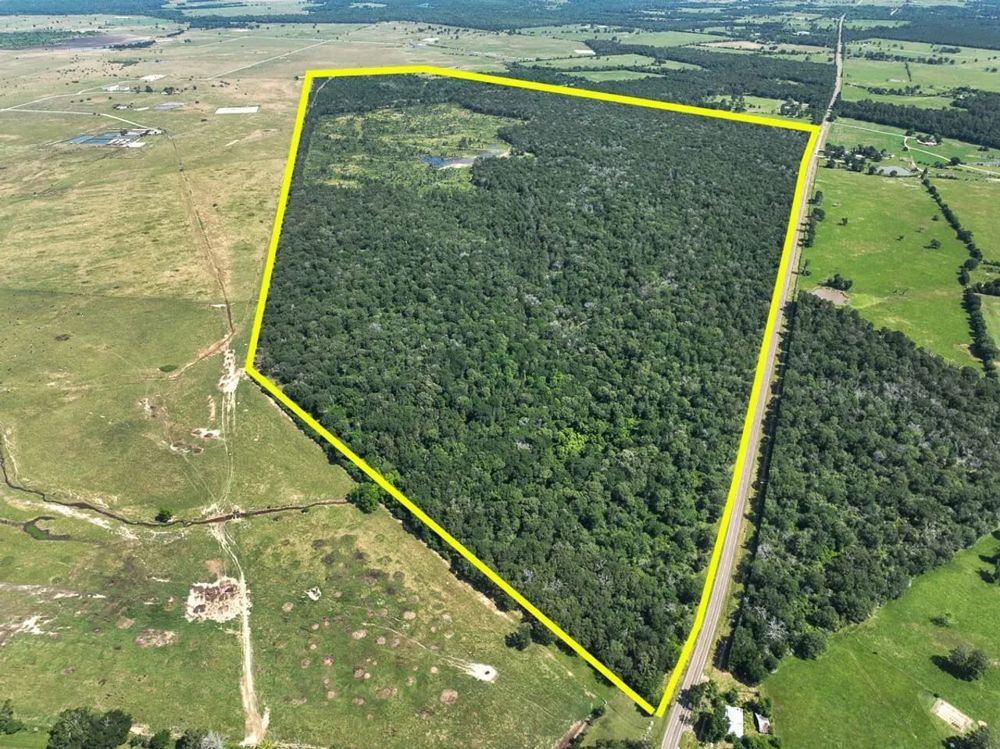 Landscape view for 425 Acres | FM 230