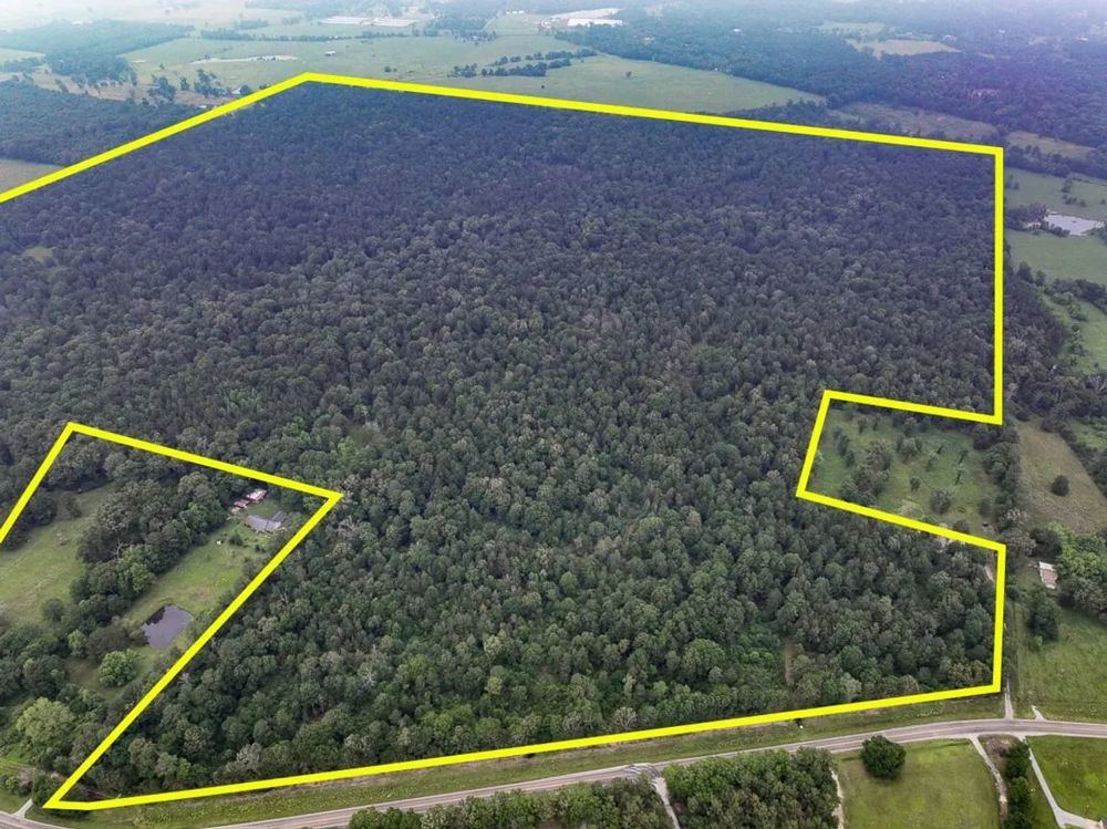Landscape view for 341 Acres | FM 1475