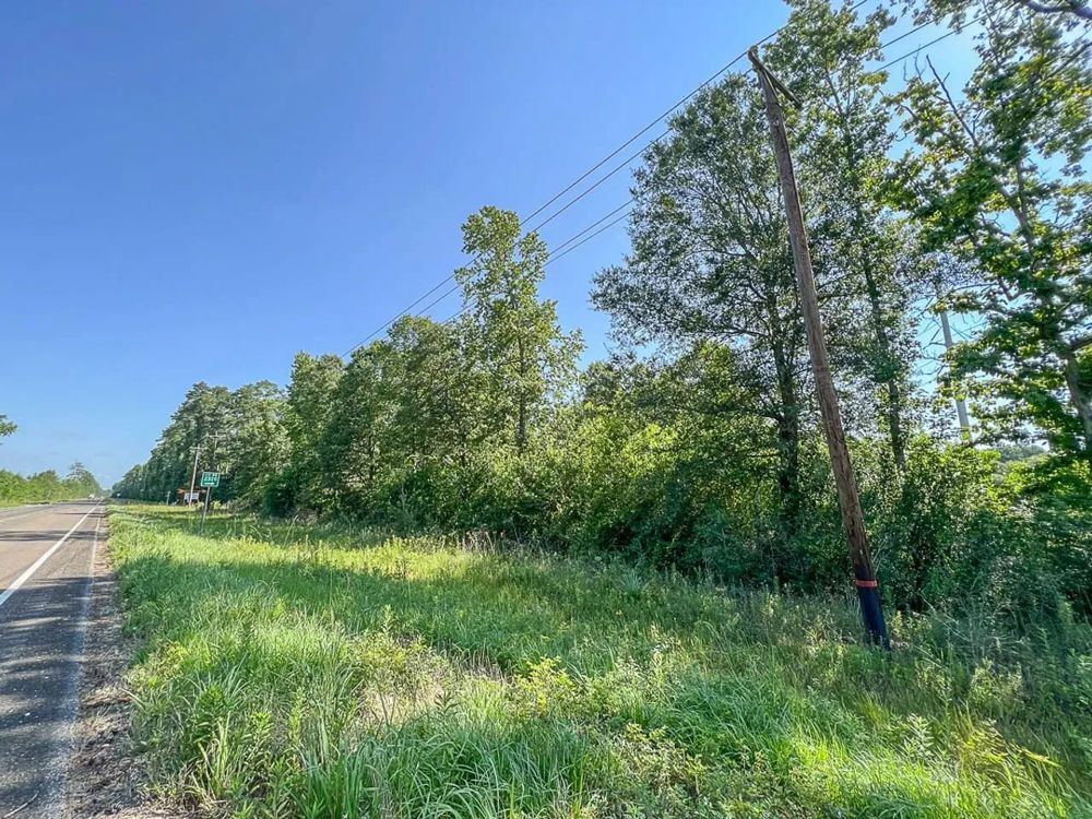 Landscape view for 1,317 Acres | FM 1008