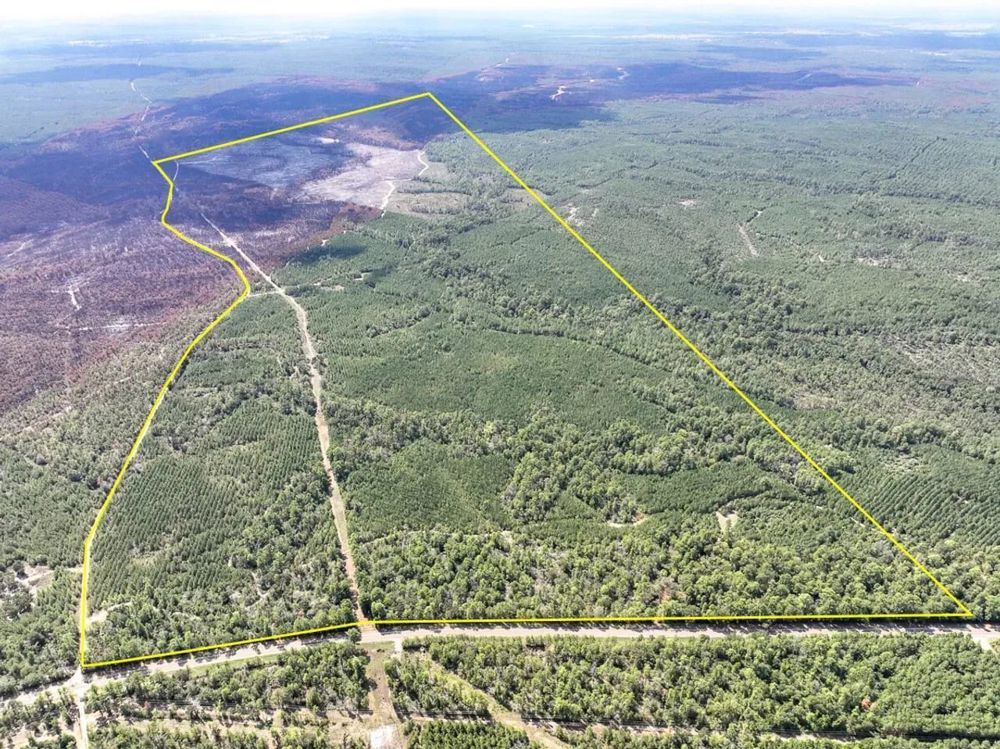 Landscape view for 466 Acres | FM 247 | T-8