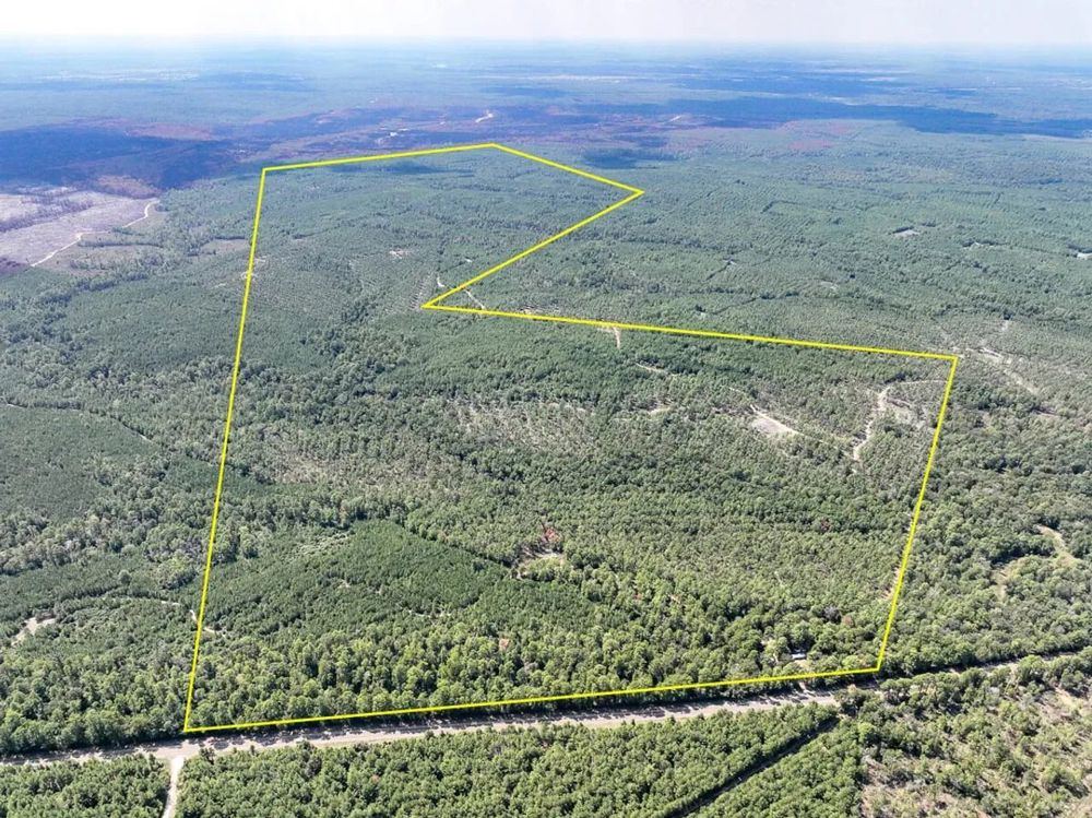 Landscape view for 613 Acres | FM 247 | T-7