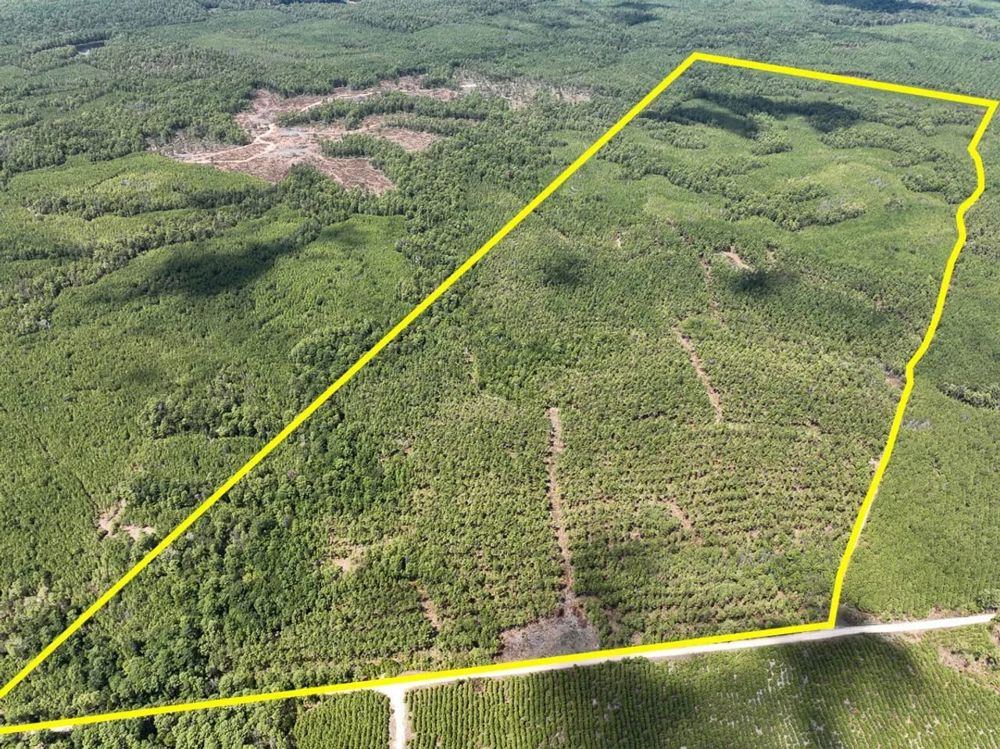 Landscape view for 448 Acres | The Game Preserve