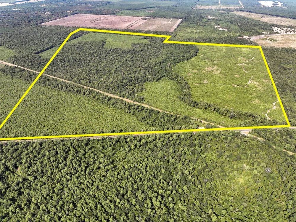 Landscape view for 640 Acres | FM 1008