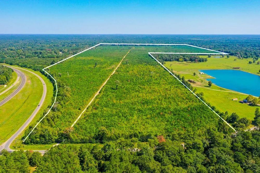 Landscape view for 323 Acres | FM 1010