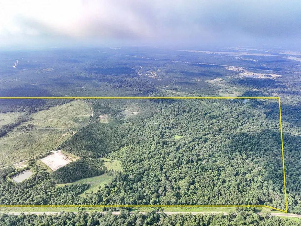 Landscape view for 570 Acres | FM 2989 | T-271006-1