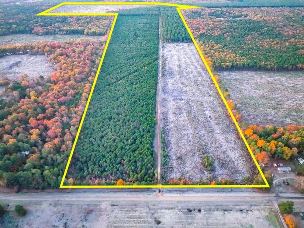 Landscape view for 383 Acres | FM 2120 | Kiskadee | 7031