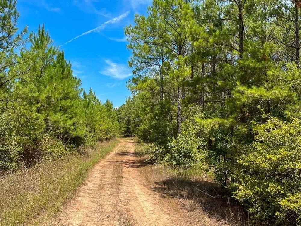 Landscape view for 451 Acres | The Game Preserve