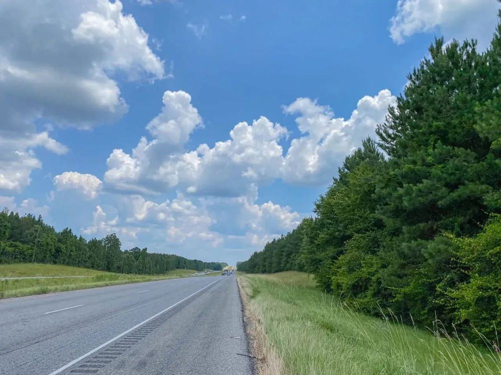 Landscape view for 411 Acres | Hwy 59 | Tract 281007-09